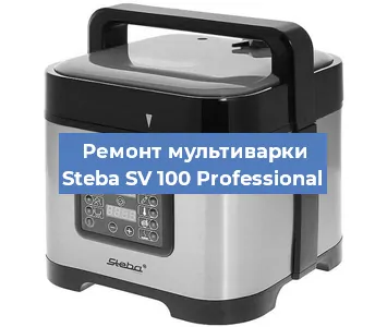 Замена ТЭНа на мультиварке Steba SV 100 Professional в Воронеже